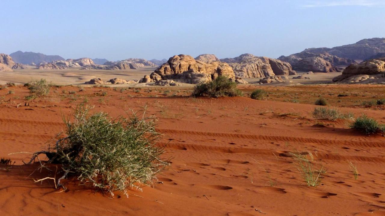 Hotel Salem Camp à Wadi Rum Extérieur photo