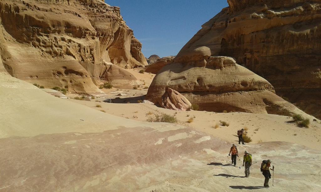 Hotel Salem Camp à Wadi Rum Extérieur photo