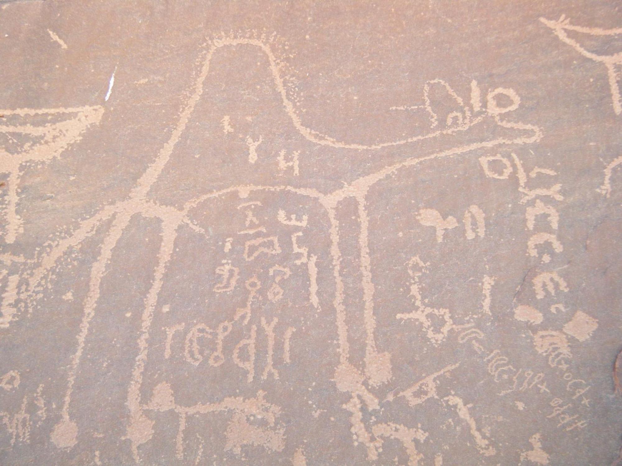 Hotel Salem Camp à Wadi Rum Extérieur photo