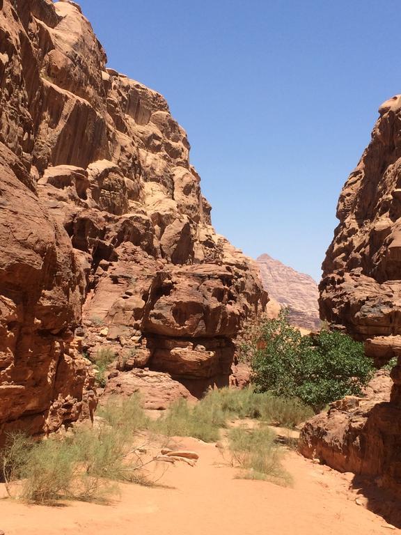 Hotel Salem Camp à Wadi Rum Extérieur photo
